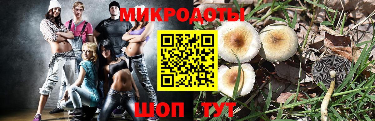 Псилоцибиновые грибы мухоморы Вязьма