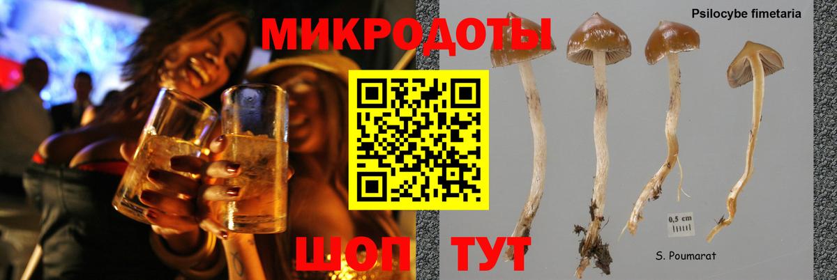 Галлюциногенные грибы MAGIC MUSHROOMS  Вход с VPN  Вязьма 